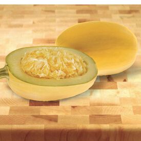 Pinnacle, (F1) Squash Seeds